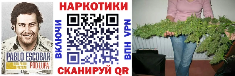 Купить наркотик аптеки Руза A PVP мега tor Cocaine Амфетамин ГАШ Меф мяу мяу Конопля