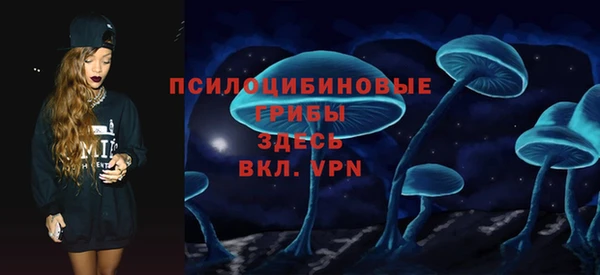 меф Переславль-Залесский