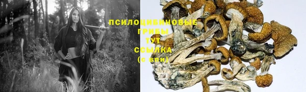 меф Переславль-Залесский