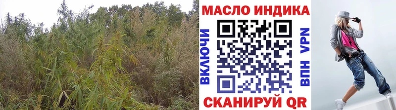 ТГК вейп  даркнет сайт  Руза 