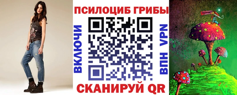 Псилоцибиновые грибы MAGIC MUSHROOMS  где можно купить наркотик  Руза 