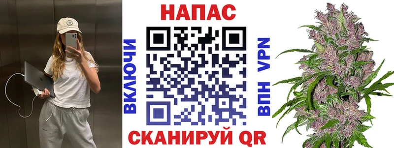 Шишки марихуана семена  купить наркоту  гидра ССЫЛКА  Руза 